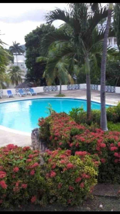 #D1 Castle Studio Wifi King Bed Ocho Rios Jamaica 외부 사진