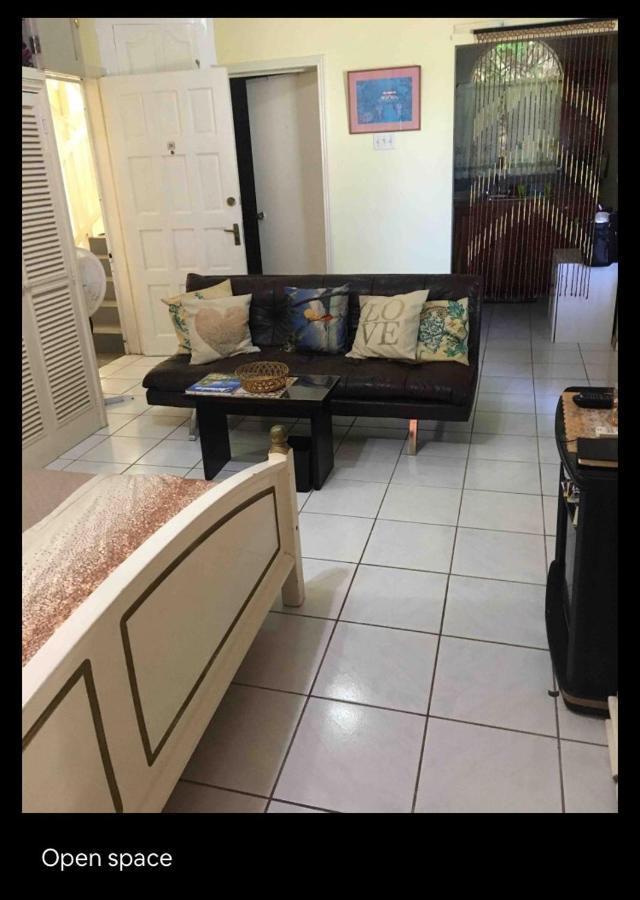 #D1 Castle Studio Wifi King Bed Ocho Rios Jamaica 외부 사진